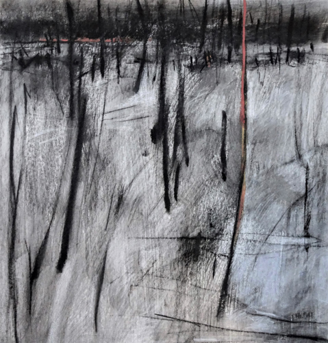A-Blanket-of-Ash-Charcoal-and-Pastel-on-Paper-68cmx64cm